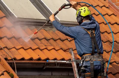 Démoussage et hydrofuge de toiture à Virigneux